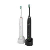 OEM popular sonic electric toothbrush electric tooth brush outlet