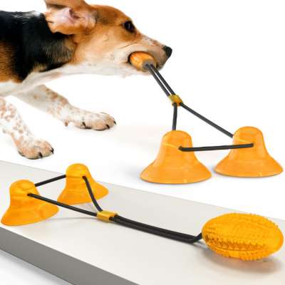 High Quality Wholesale Training IQ and Interactive Food Dispensing Dog Chew Toys with 2 Suction Cups