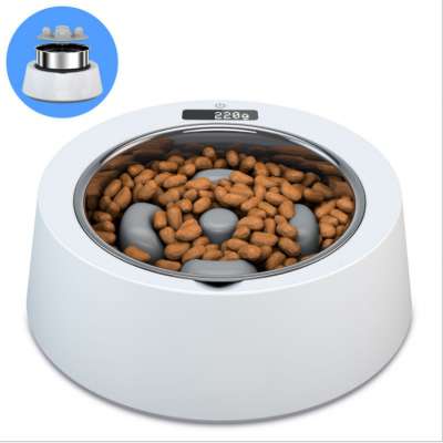 Stainless Steel pet feeder and drinker bowl